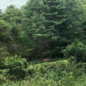 Meet your Posher, Evelyn